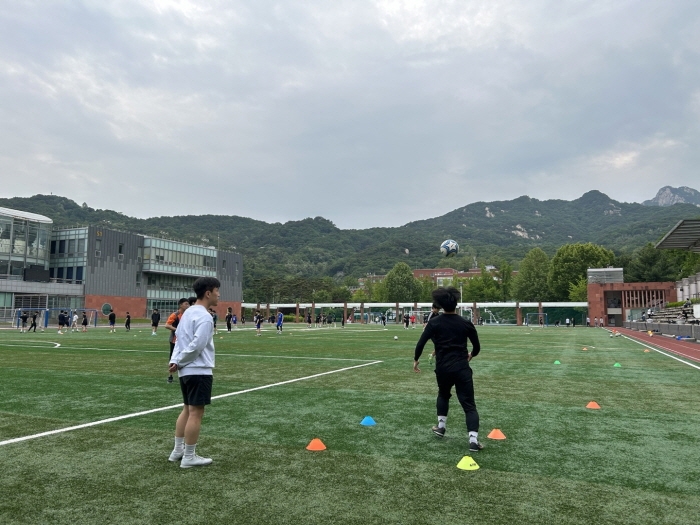 对于多特，瑞尔森、詹、本塞拜尼和格罗斯能组四后卫